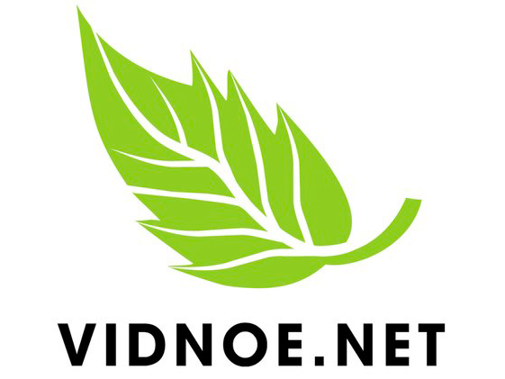 vidnoye logo